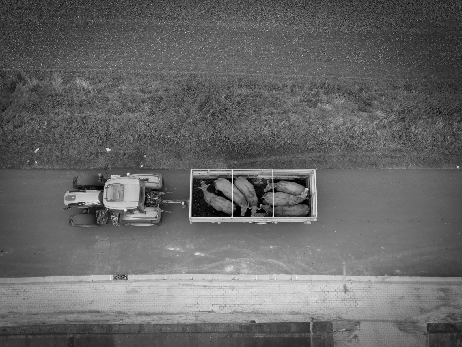 Photographie aérienne par drone