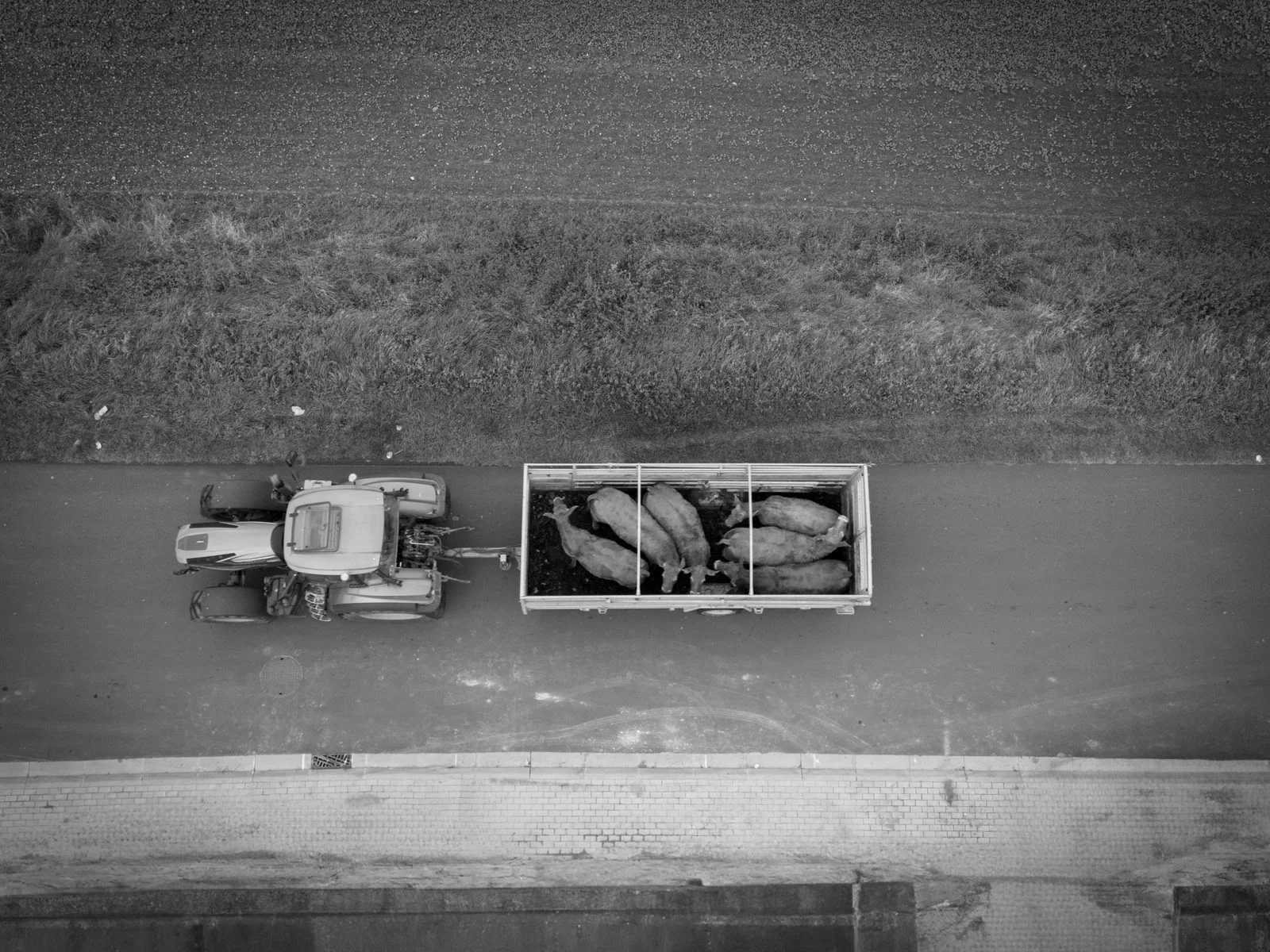 Photographie aérienne par drone